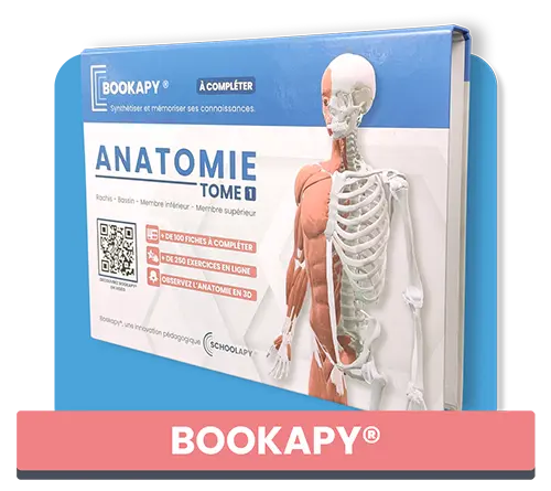 Bookapy® fiches de syntheses interactives anatomie
